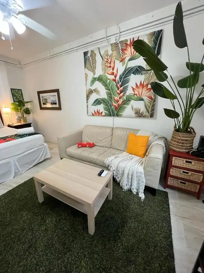 Tropical Apartments In Miramar San Juan