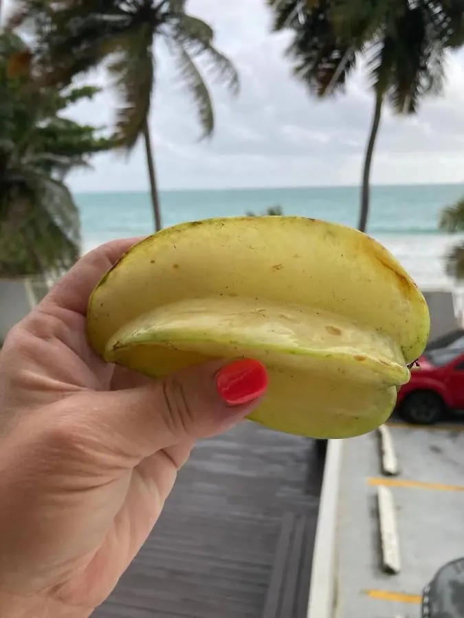 Tropical Apartments In Miramar San Juan